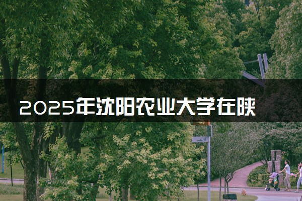 2025年沈阳农业大学在陕西招生代码及专业代码 沈阳农业大学陕西代码是多少？怎么查询？