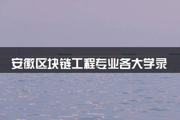 安徽区块链工程专业各大学录取分数线：最低492分能上 开设院校及位次