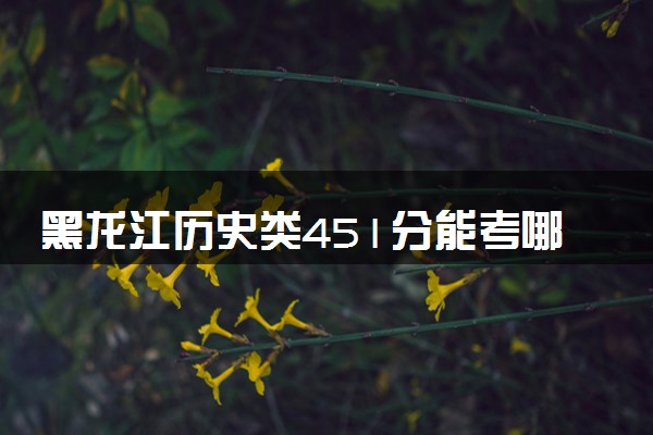 黑龙江历史类451分能考哪些大学 2025考生稳上的大学名单