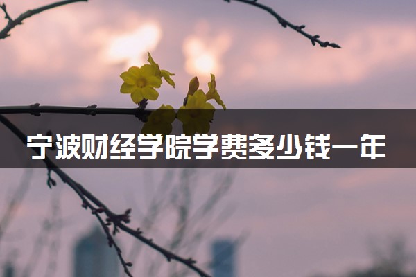 宁波财经学院学费多少钱一年 各专业收费标准（2025年参考）
