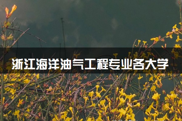 浙江海洋油气工程专业各大学录取分数线：最低510分能上 开设院校及位次