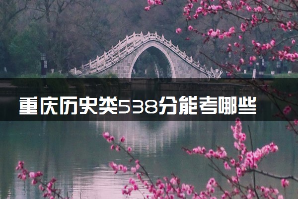重庆历史类538分能考哪些大学 2025考生稳上的大学名单