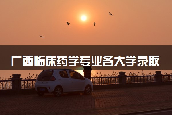 广西临床药学专业各大学录取分数线：最低393分能上 开设院校及位次
