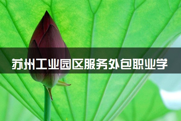苏州工业园区服务外包职业学院招生代码是多少 附专业代码对照表（2025参考）