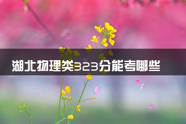 湖北物理类323分能考哪些大学 2025考生稳上的大学名单