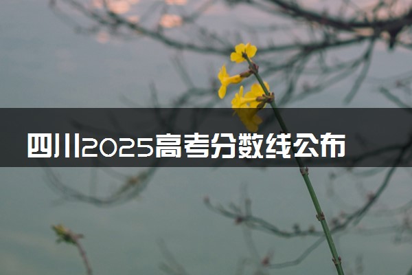 四川2025高考分数线公布时间 附成绩查询时间和网址入口