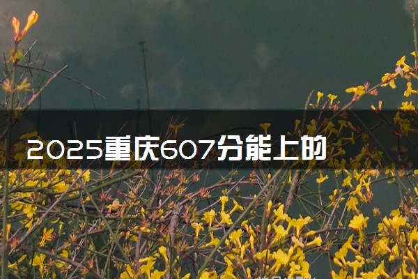 2025重庆607分能上的大学有哪些 可以报考院校名单