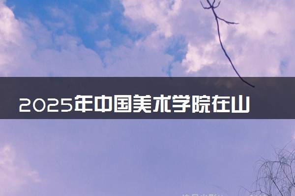 2025年中国美术学院在山东招生代码：A355 专业代码及报考指南