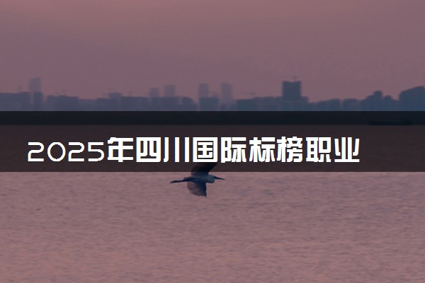 2025年四川国际标榜职业学院在贵州招生代码及专业代码 四川国际标榜职业学院贵州代码是多少？怎么查询？
