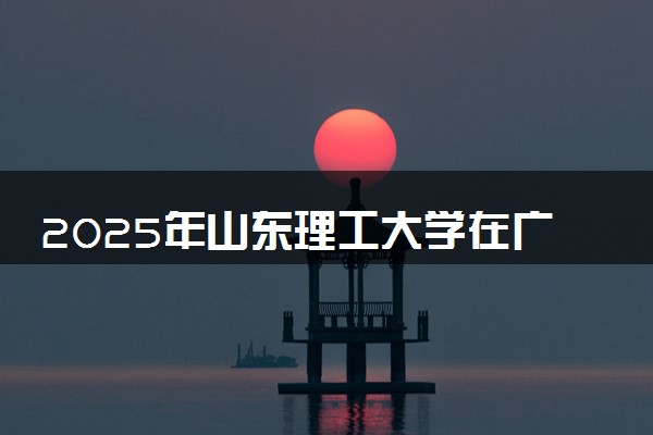 2025年山东理工大学在广东招生代码及专业代码 山东理工大学广东代码是多少？怎么查询？