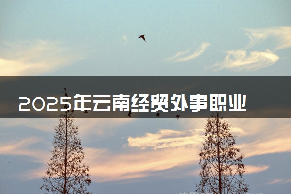 2025年云南经贸外事职业学院在辽宁招生代码及专业代码 云南经贸外事职业学院辽宁代码是多少？怎么查询？
