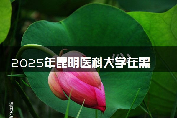 2025年昆明医科大学在黑龙江招生代码：2315 专业代码及报考指南