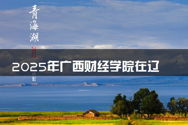 2025年广西财经学院在辽宁招生代码及专业代码 广西财经学院辽宁代码是多少？怎么查询？