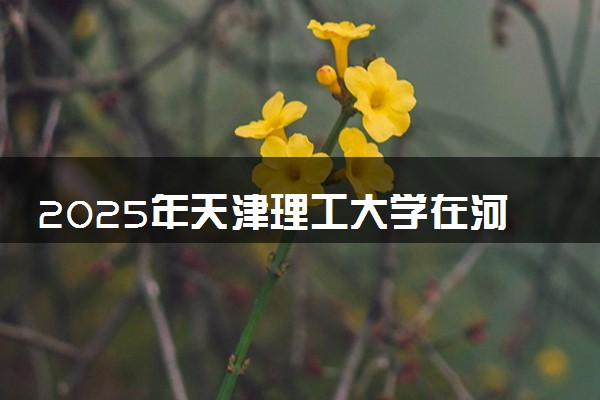 2025年天津理工大学在河南招生代码及专业代码 天津理工大学河南代码是多少？怎么查询？