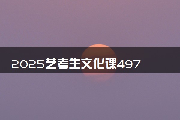 2025艺考生文化课497分能上海南师范大学吗