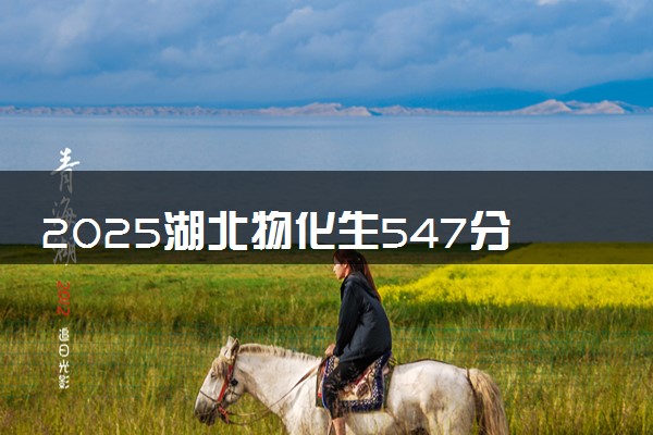 2025湖北物化生547分左右能上什么大学 可以报考的院校名单