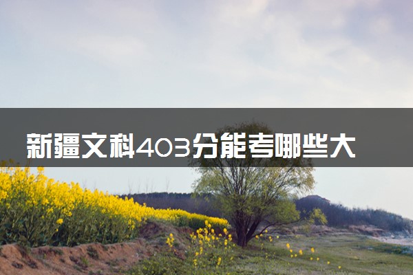 新疆文科403分能考哪些大学 2025考生稳上的大学名单