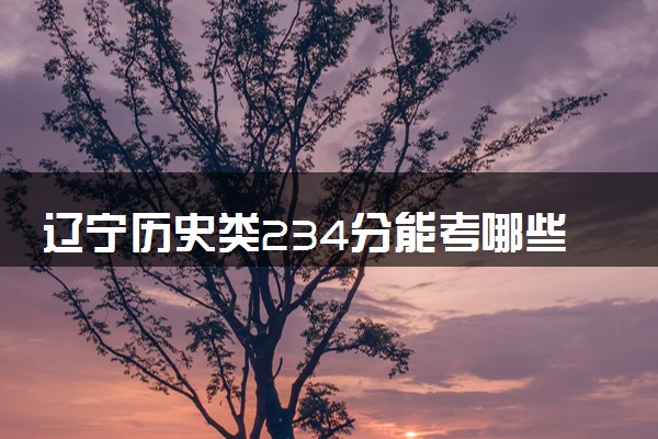 辽宁历史类234分能考哪些大学 2025考生稳上的大学名单