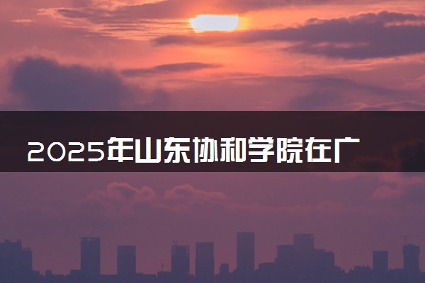 2025年山东协和学院在广东招生代码：13324 专业代码及报考指南