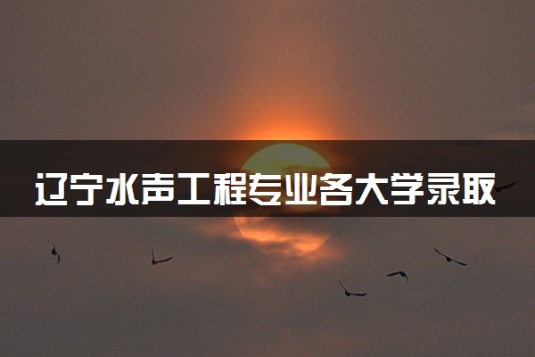 辽宁水声工程专业各大学录取分数线：最低623分能上 开设院校及位次