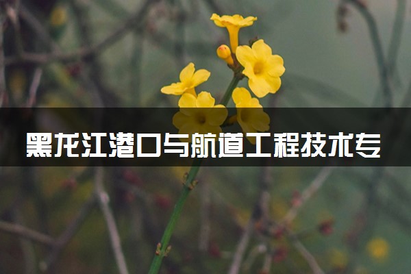 黑龙江港口与航道工程技术专业各大学录取分数线：最低344分能上 开设院校及位次