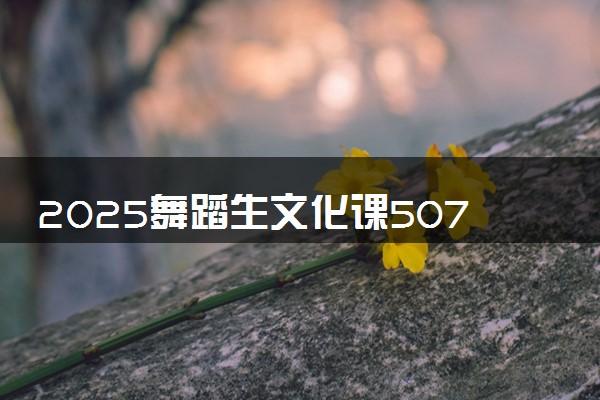 2025舞蹈生文化课507分能上四川旅游学院吗