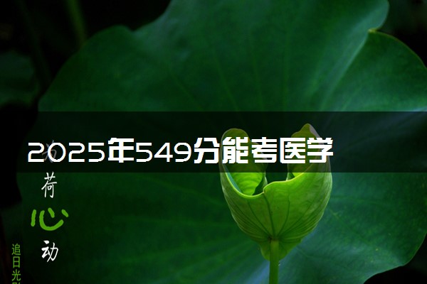 2025年549分能考医学信息工程专业吗 549分医学信息工程专业大学推荐