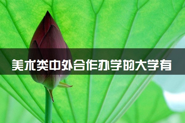美术类中外合作办学的大学有哪些 学费多少钱