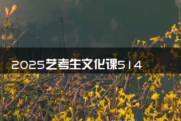 2025艺考生文化课514分能上沈阳师范大学吗