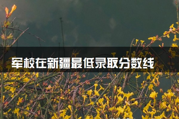 军校在新疆最低录取分数线 2025考军校要多少分