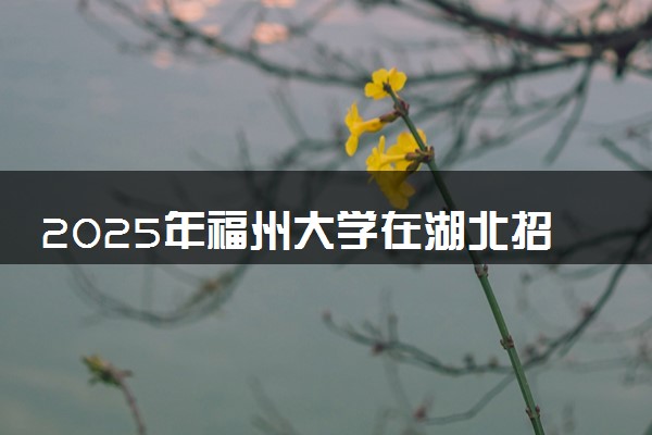 2025年福州大学在湖北招生代码及专业代码 福州大学湖北代码是多少？怎么查询？