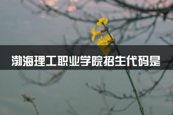 渤海理工职业学院招生代码是多少 附专业代码对照表（2025参考）