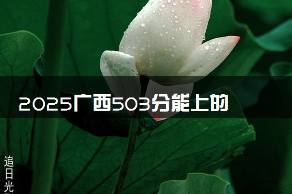 2025广西503分能上的大学有哪些 可以报考院校名单