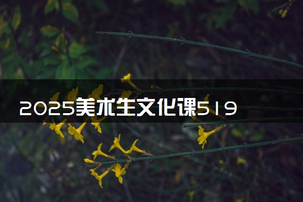 2025美术生文化课519分能上淮阴师范学院吗