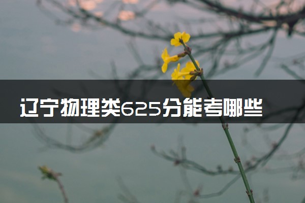 辽宁物理类625分能考哪些大学 2025考生稳上的大学名单
