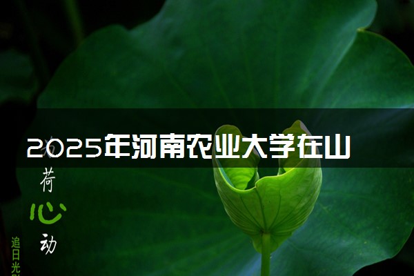 2025年河南农业大学在山东招生代码：A466 专业代码及报考指南