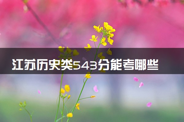 江苏历史类543分能考哪些大学 2025考生稳上的大学名单