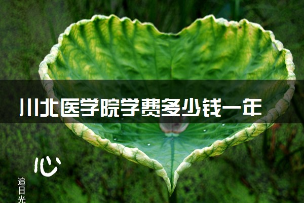 川北医学院学费多少钱一年 各专业收费标准（2025年参考）