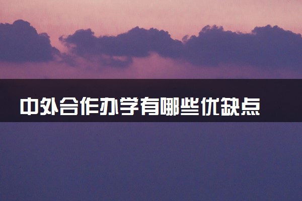 中外合作办学有哪些优缺点 适合哪些人报考