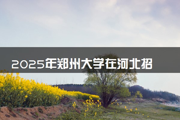 2025年郑州大学在河北招生代码：2508 专业代码及报考指南