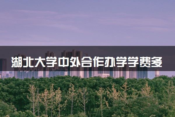 湖北大学中外合作办学学费多少钱 项目优势是什么