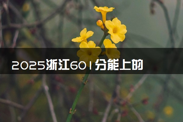 2025浙江601分能上的大学有哪些 可以报考院校名单