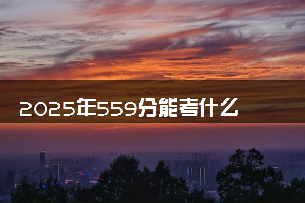 2025年559分能考什么语言类大学 哪些大学值得报
