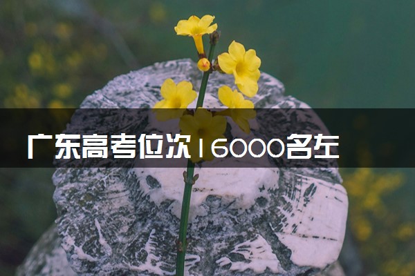 广东高考位次16000名左右报什么大学好（2025年参考）