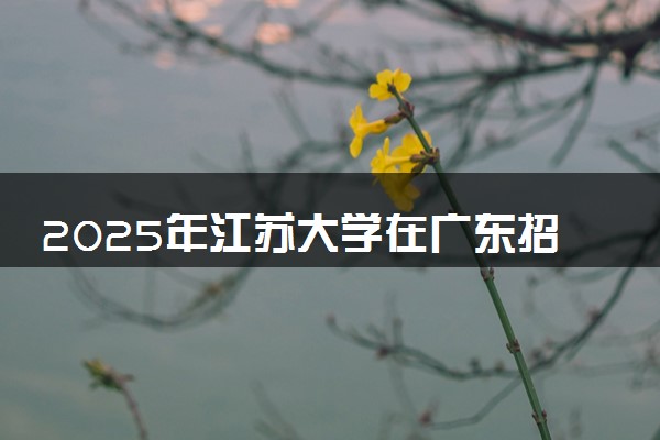 2025年江苏大学在广东招生代码及专业代码 江苏大学广东代码是多少？怎么查询？
