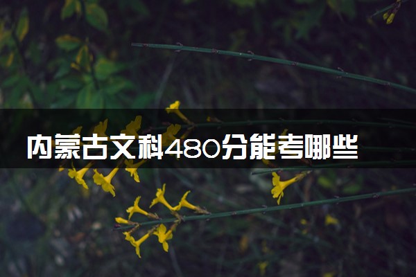 内蒙古文科480分能考哪些大学 2025考生稳上的大学名单