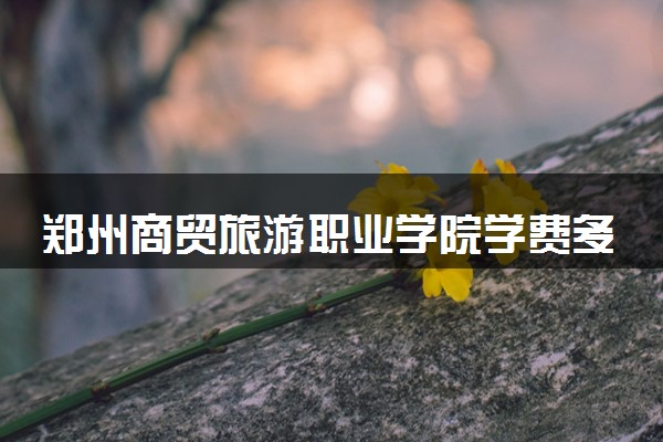 郑州商贸旅游职业学院学费多少钱一年 各专业收费标准（2025年参考）