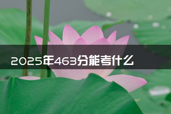 2025年463分能考什么综合类大学 哪些大学值得报
