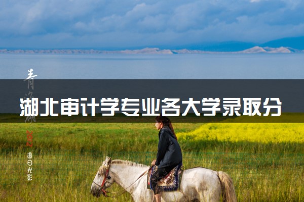 湖北审计学专业各大学录取分数线：最低432分能上 开设院校及位次