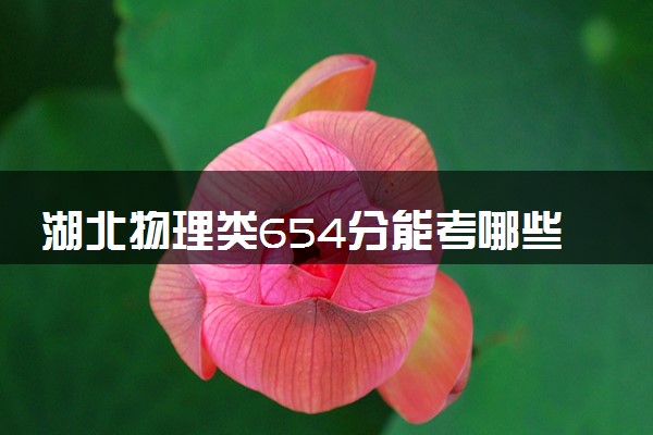 湖北物理类654分能考哪些大学 2025考生稳上的大学名单
